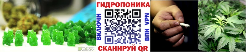 мега ссылка Славск Canna-Cookies марихуана